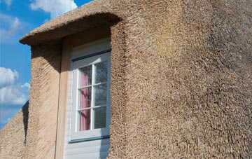 Cadeleigh thatch roof disadvantages